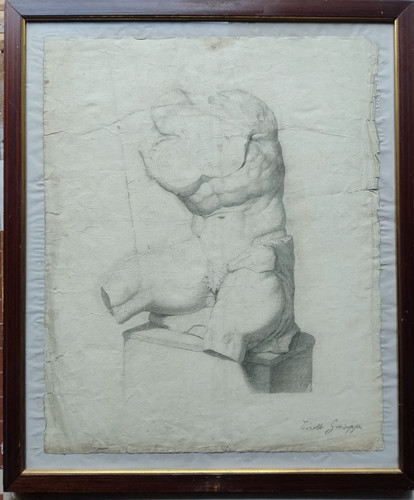 Studio dal torso - torso, del